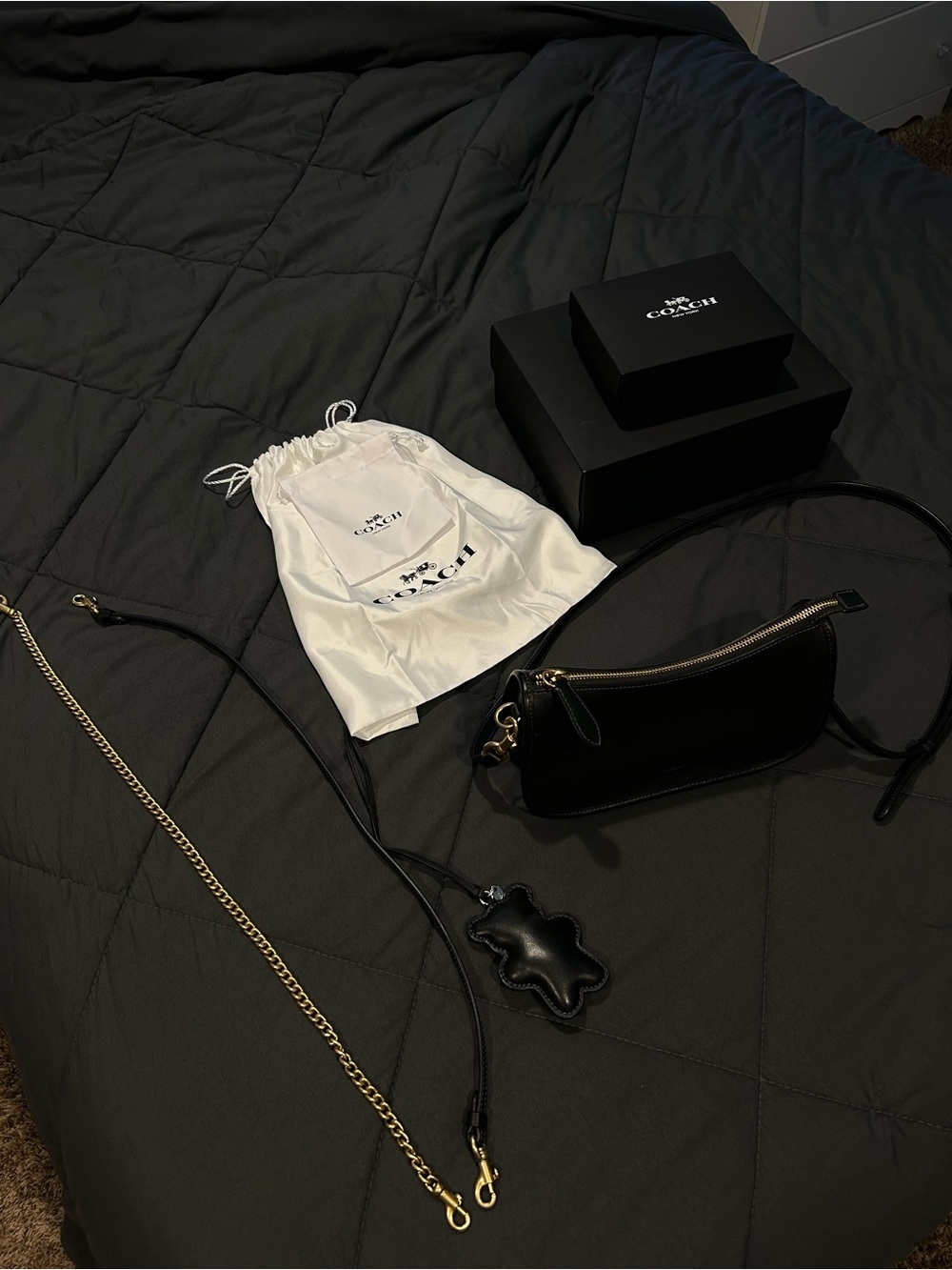 COACH Waverly bag. - Picture 5 of 12